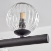 Chehalis hanging light, globe light, pendant light clear, 10-light sources