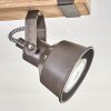 Pehefito ceiling light, ceiling spotlight brown, grey, 6-light sources