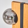 Chehalis globe light, floor lamp Ecru, black, 6-light sources