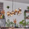 Chehalis hanging light, globe light, pendant light Amber, clear, Smoke-coloured, 10-light sources