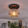 Ripoll ceiling light, globe light clear, Smoke-coloured, 1-light source