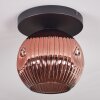 Ripoll ceiling light, globe light coppery, 1-light source