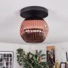 Ripoll ceiling light, globe light coppery, 1-light source