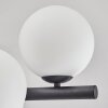 Gastor ceiling light, globe light white, 8-light sources