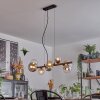 Chehalis hanging light, globe light, pendant light Amber, clear, Smoke-coloured, 8-light sources