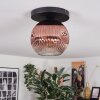 Ripoll ceiling light, globe light clear, coppery, 1-light source