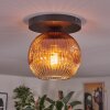 Ripoll ceiling light, globe light clear, coppery, 1-light source