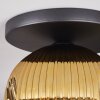 Ripoll ceiling light, globe light gold, clear, 1-light source