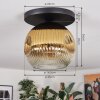 Ripoll ceiling light, globe light gold, clear, 1-light source