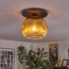 Ripoll ceiling light, globe light gold, clear, 1-light source