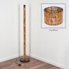 Cando floor lamp Ecru, black, 1-light source