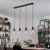 Hasvik hanging light, pendant light clear, 4-light sources