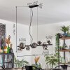 Chehalis hanging light, globe light, pendant light chrome, clear, Smoke-coloured, 10-light sources