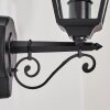 Fornelos outdoor light, outdoor wall light, wall light black, 1-light source