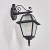 Fornelos outdoor light, outdoor wall light, wall light black, 1-light source