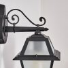 Fornelos outdoor light, outdoor wall light, wall light black, 1-light source