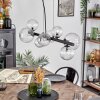 Chehalis hanging light, globe light, pendant light clear, 8-light sources