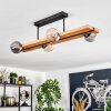 Chehalis ceiling light, globe light Ecru, black, 4-light sources