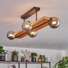 Chehalis ceiling light, globe light Ecru, black, 4-light sources