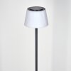 Longchamps floor lamp LED black, 1-light source