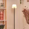 Longchamps floor lamp LED black, 1-light source