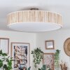 Foggia ceiling light matt nickel, 3-light sources