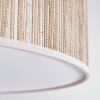 Foggia ceiling light matt nickel, 3-light sources