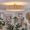 Foggia ceiling light matt nickel, 3-light sources