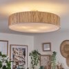 Foggia ceiling light matt nickel, 3-light sources