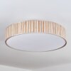 Foggia ceiling light matt nickel, 3-light sources