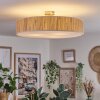 Foggia ceiling light matt nickel, 3-light sources