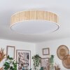 Foggia ceiling light matt nickel, 3-light sources