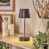 Amien Outdoor table lamp, table lamp LED black, silver, 1-light source