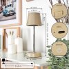 Amien Outdoor table lamp, table lamp LED sand-coloured, silver, 1-light source