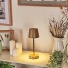 Amien Outdoor table lamp, table lamp LED sand-coloured, silver, 1-light source