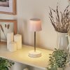 Amien Outdoor table lamp, table lamp LED silver, white, 1-light source