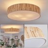 Foggia ceiling light matt nickel, 3-light sources