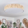 Foggia ceiling light matt nickel, 3-light sources