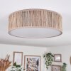 Antillo ceiling light matt nickel, 3-light sources