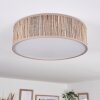 Antillo ceiling light matt nickel, 3-light sources