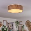 Antillo ceiling light matt nickel, 3-light sources