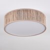 Antillo ceiling light matt nickel, 3-light sources