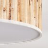 Antillo ceiling light matt nickel, 3-light sources