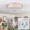 Antillo ceiling light matt nickel, 3-light sources