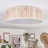 Antillo ceiling light matt nickel, 3-light sources