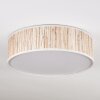 Antillo ceiling light matt nickel, 3-light sources