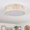 Antillo ceiling light matt nickel, 3-light sources