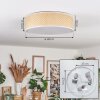 Antillo ceiling light matt nickel, 3-light sources