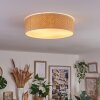 Antillo ceiling light matt nickel, 3-light sources