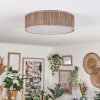 Antillo ceiling light matt nickel, 3-light sources